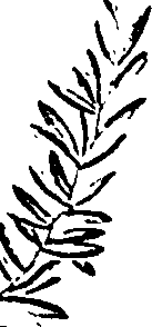 099/099330012600970_1.png
