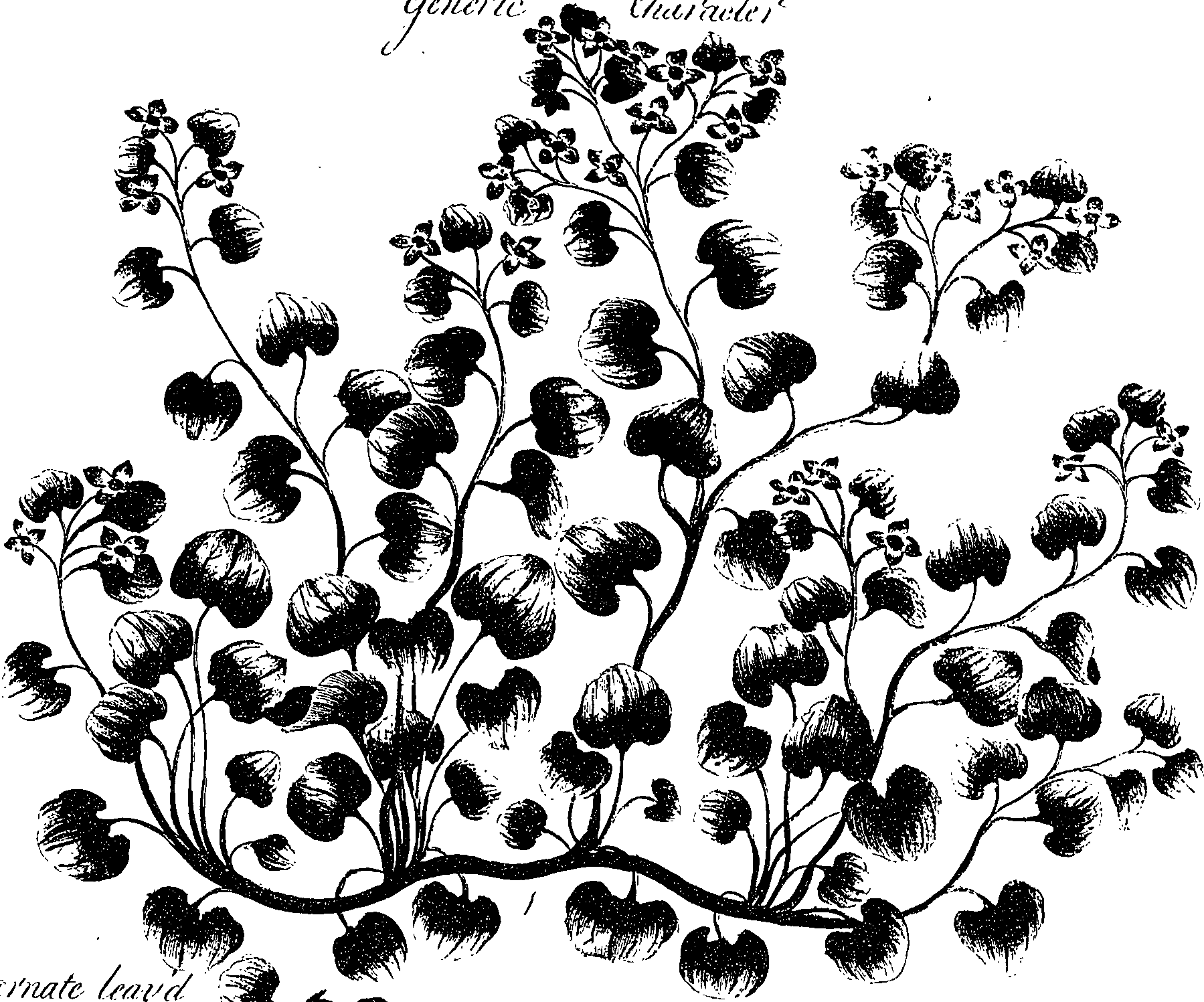 099/099330012600980_1.png
