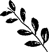099/099330012601000_1.png