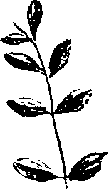 099/099330012601000_2.png
