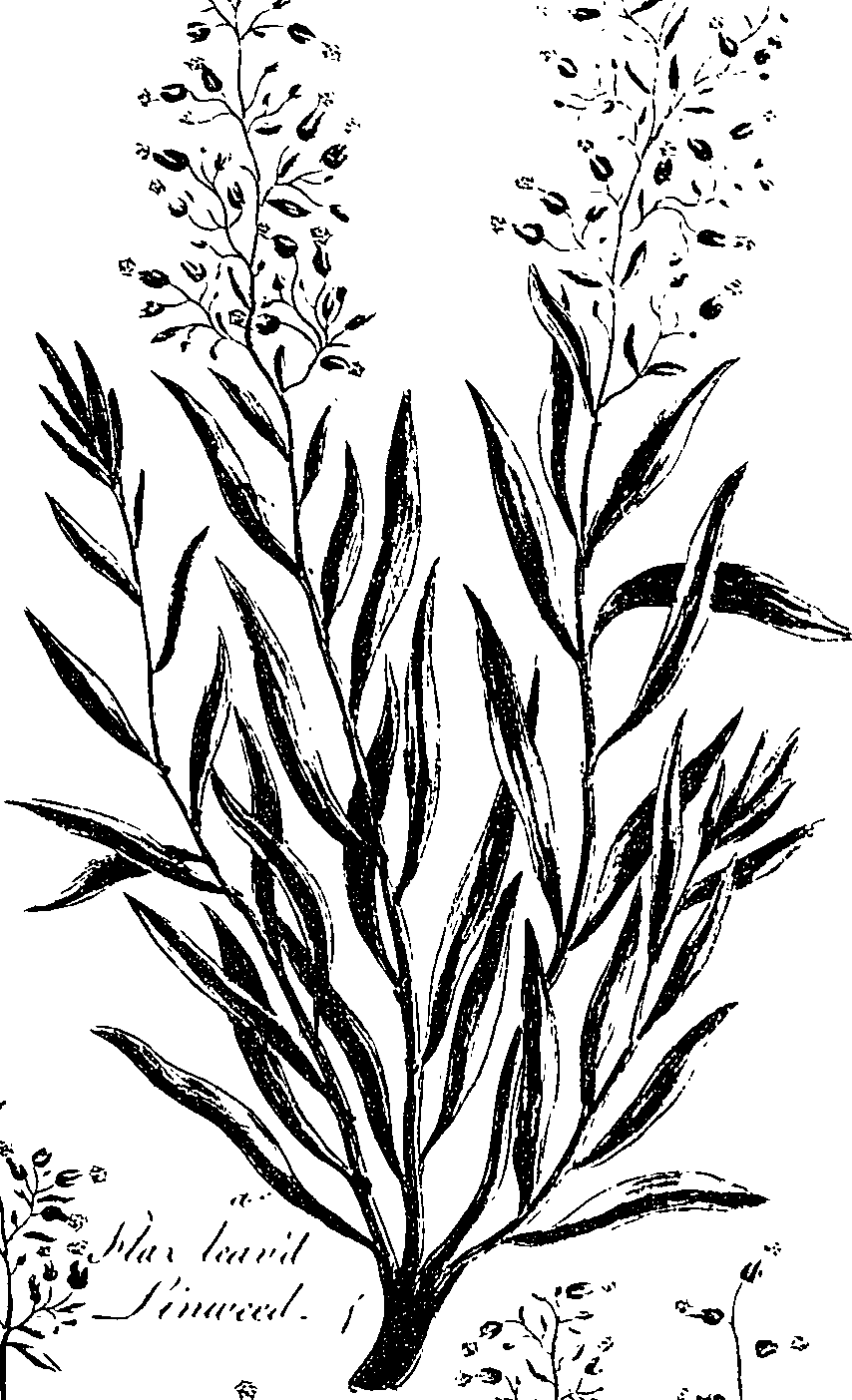 099/099330012601010_1.png