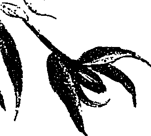 099/099330012601050_0.png