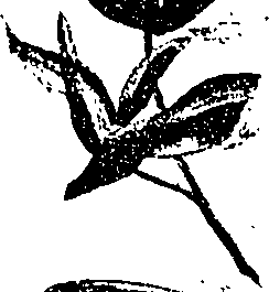 099/099330012601050_1.png