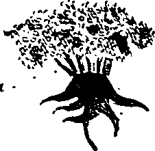 099/099330012601060_0.png
