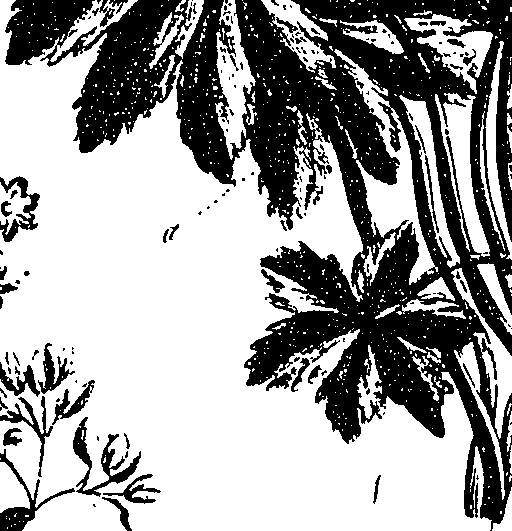 099/099330012601080_0.png
