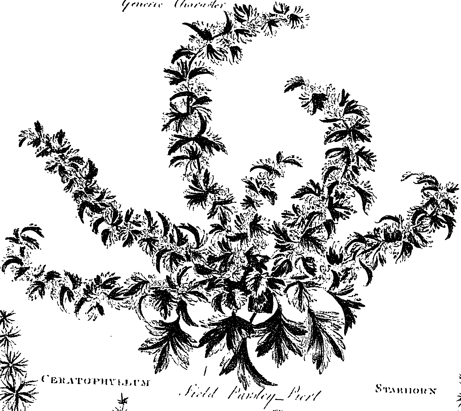 099/099330012601090_0.png