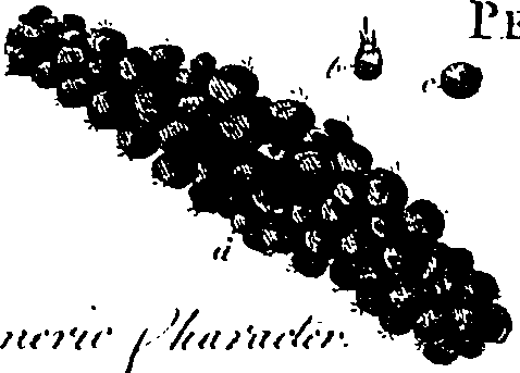 099/099330012601100_0.png