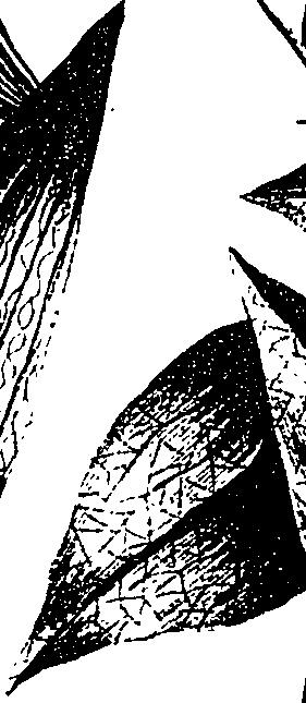 099/099330012601110_0.png
