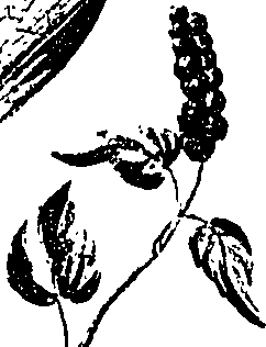 099/099330012601120_0.png