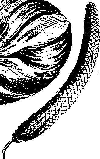 099/099330012601130_0.png