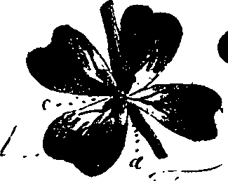 099/099330012601140_0.png