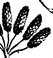 099/099330012601140_1.png