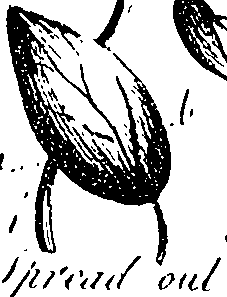 099/099330012601140_2.png