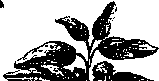 099/099330012601160_0.png
