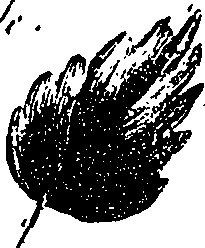 099/099330012601180_0.png