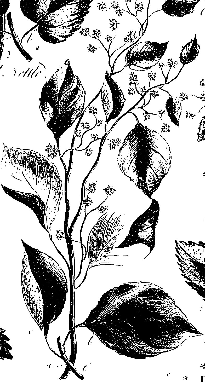 099/099330012601180_1.png