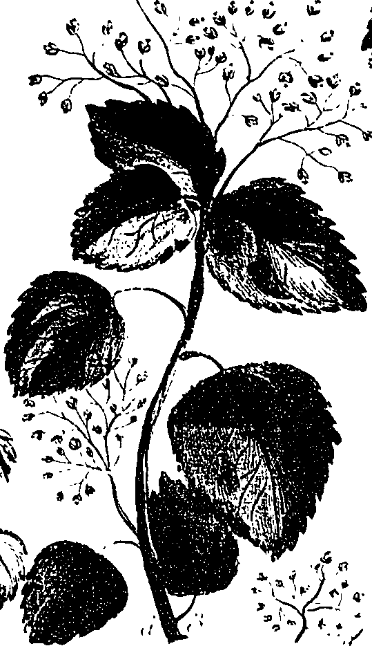 099/099330012601180_2.png