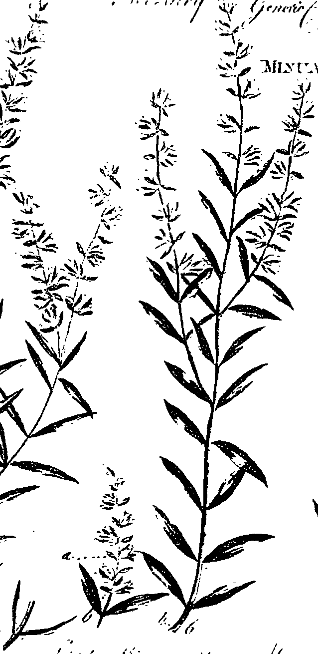 099/099330012601200_0.png
