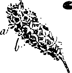 099/099330012601210_1.png