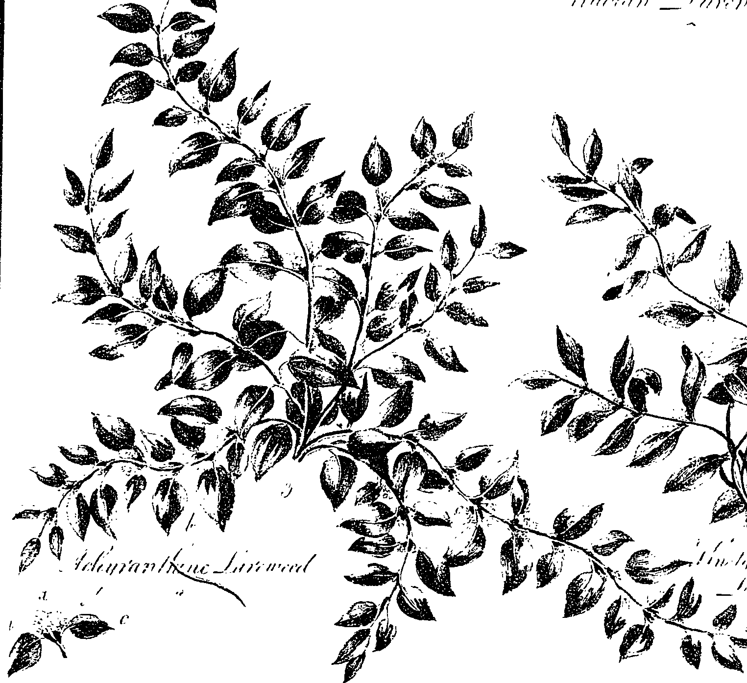099/099330012601220_0.png