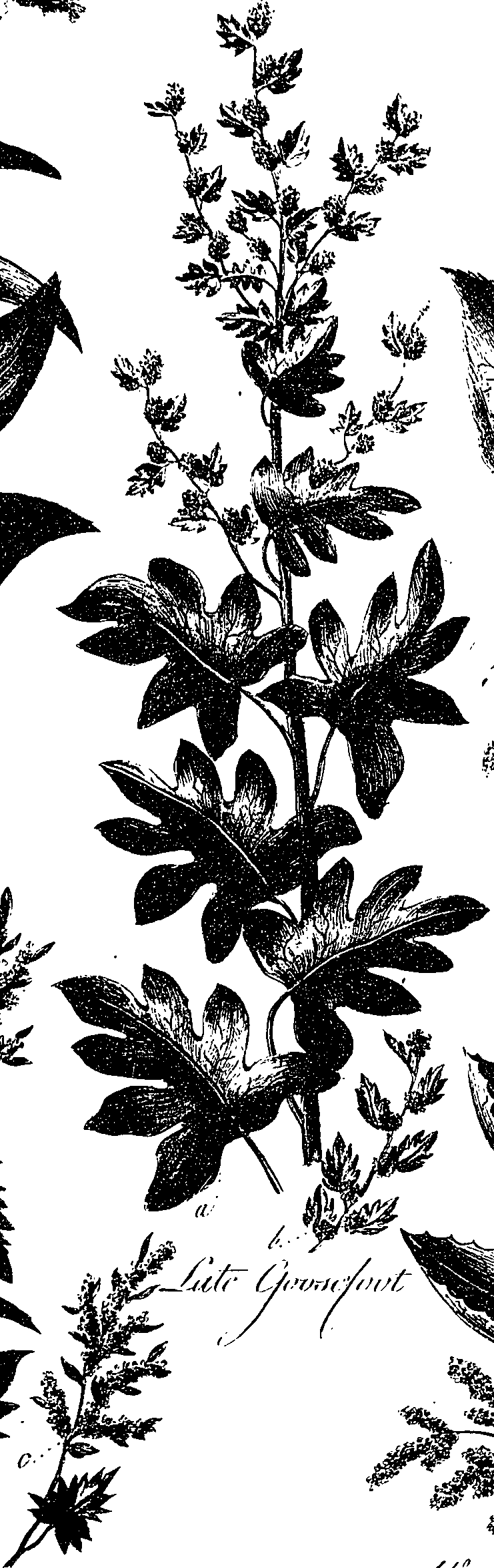 099/099330012601240_0.png