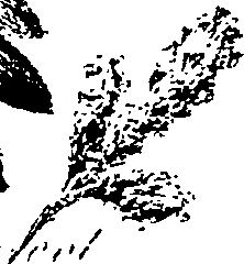 099/099330012601250_0.png