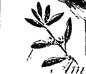 099/099330012601260_1.png