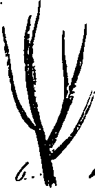 099/099330012601290_0.png