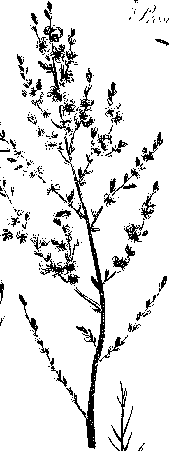 099/099330012601300_0.png