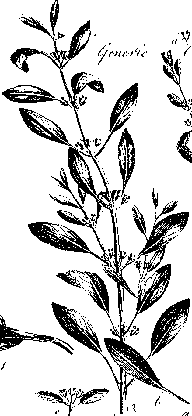 099/099330012601310_2.png