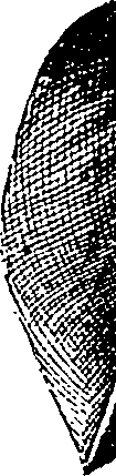 099/099330012601330_0.png