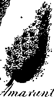 099/099330012601340_0.png