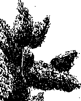 099/099330012601340_1.png
