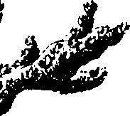 099/099330012601350_0.png