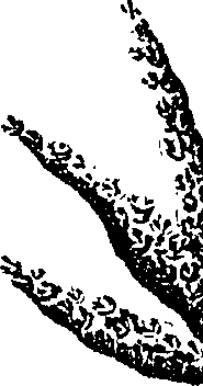 099/099330012601350_1.png
