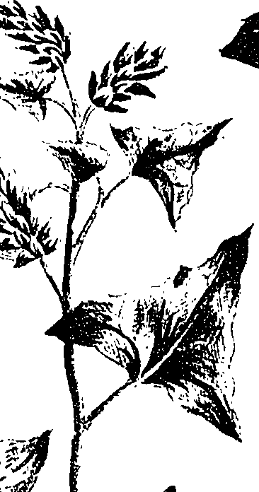 099/099330012601380_0.png