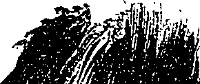 099/099330012601410_0.png