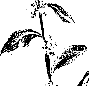 099/099330012601410_1.png