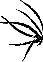 099/099330012601420_0.png