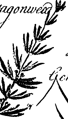 099/099330012601420_1.png