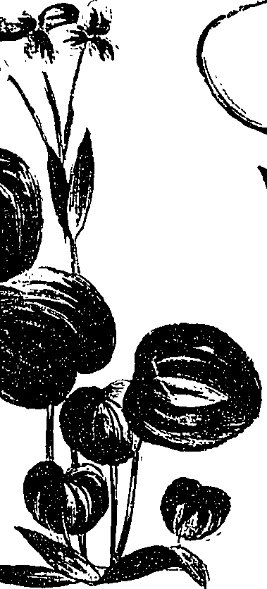 099/099330012601440_1.png