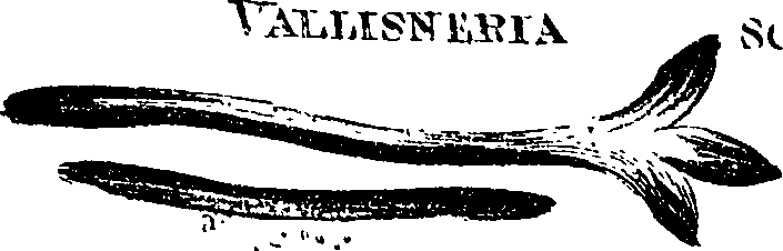 099/099330012601440_2.png