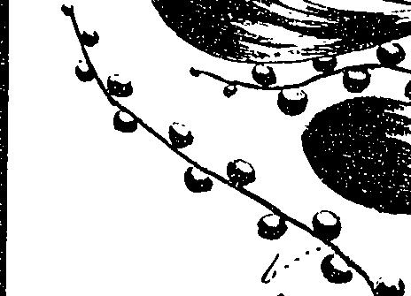 099/099330012601460_0.png