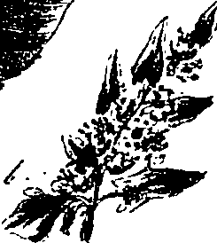 099/099330012601480_0.png