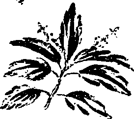 099/099330012601490_0.png