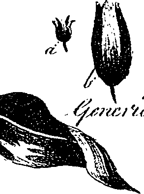 099/099330012601520_1.png
