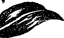 099/099330012601520_2.png