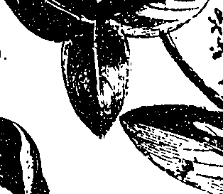 099/099330012601520_3.png