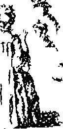 099/099520120000010_0.png