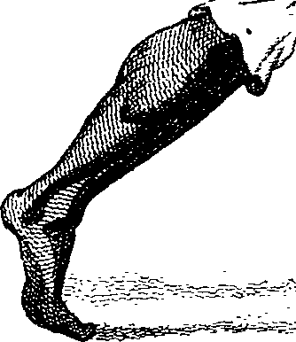 099/099530200000010_0.png